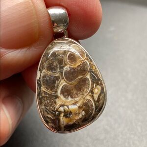 Turtella Jasper Pendant in Solid Sterling Silver 925